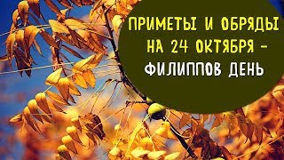 НАРОДНЫЕ ПРИМЕТЫ | ОБРЯДЫ | ЗАГОВОРЫ НА 24 ОКТЯБРЯ – ФИЛИППОВ ДЕНЬ | Эзотерика для Тебя Советы