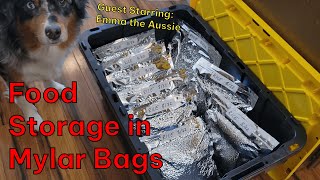 Vacuum Sealing Mylar Bags for LongTerm Food Storage (The Easy Method)
