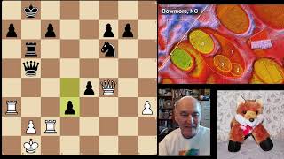 Chess: The little fox is ready to mate
