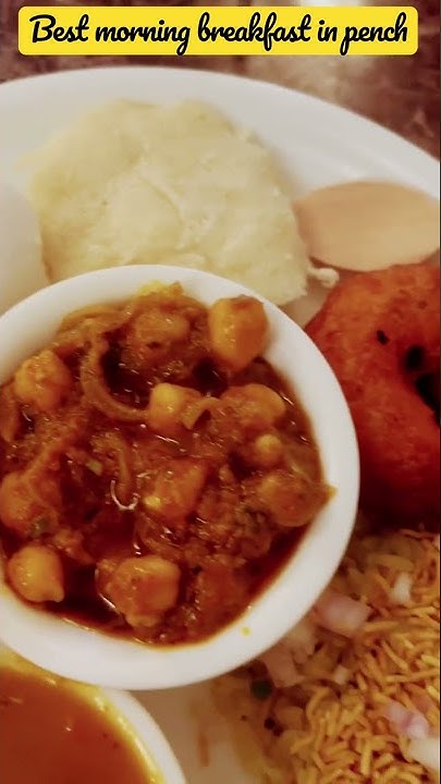 Best Morning Breakfast In Pench Olive Resort Pench shorts viral best-morning-breakfast-in-pench-olive-resort-pench-shorts-viral