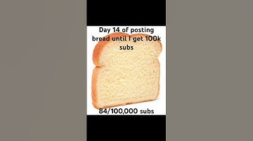 Day 14 of posting bread until I get 100k subscribers #foryou #challenge #bread #fypシ #100k #day14