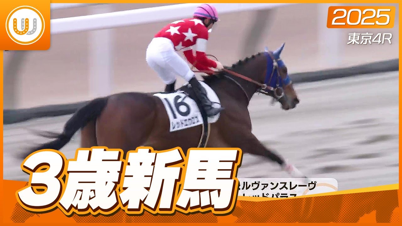 【期限切れがんばれ馬券】　メイクデビュー東京　2014 ドゥラメンテ　ウマ娘 期限切れがんばれ馬券 メイクデビュー東京 2014 ドゥラメンテ 東京5