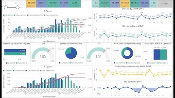 Project Controls & Reporting System