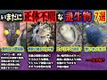 【ゆっくり解説】いまだに正体が分かっていない謎生物 7選【正体不明・新種・UMA？】
