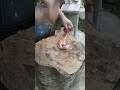 Learn Knife Skills You Can Use Right Away!#learningskills#rightway#besttips#tranding#shortsviral