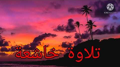 تلاوة خاشعة 💚💚🔊 للقارئ عبد الفتاح الصباغ