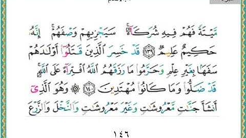 القران الكريم -  ياسر الدوسري -  الجزء الثامن -  8