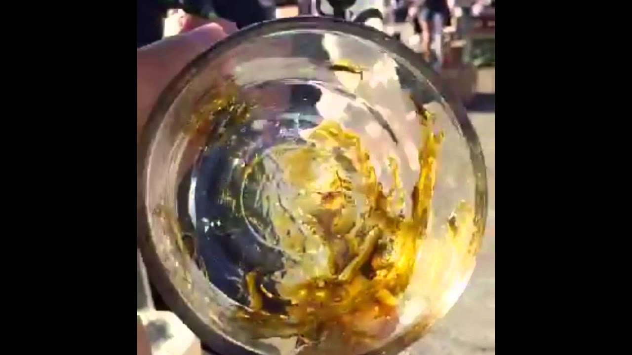 @Terpenstein_710 Booth Chalice 2015...