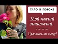 Мой новый знакомый. Нравлюсь ли я ему?