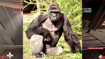 TF2 - A Complete Garbage Matchmaking Compilation