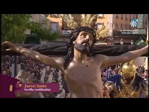 Pontificia, Real e Ilustre Hermandad Sacramental Purísima Concepción Ánimas Benditas del Purgatorio, San Sebastián Mártir y Archicofradía de Nazarenos del Santísimo Cristo de la Exaltación y Nuestra Señora de las Lágrimas