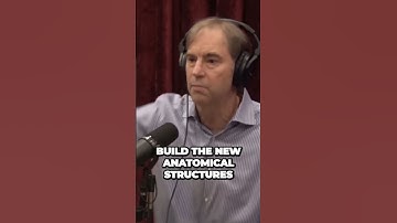 Unlocking the Secrets of Building New Life through DNA and Proteins #shorts