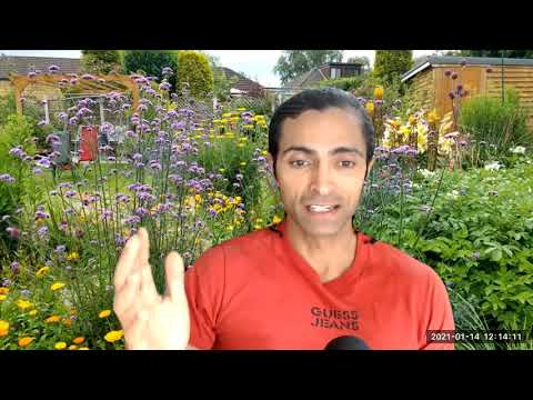 Video How to use Zoom Breakout Rooms - youtube