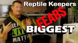 Top 3 FEARS of Reptile Keepers