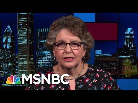 FEC Hobbled By Resignations Going Into 2020 Campaign Season | Rachel Maddow | MSNBC