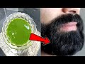 How to grow a beard naturally with Guava Leaves at home
