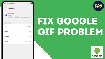 How to fix Google GIFs not moving ?