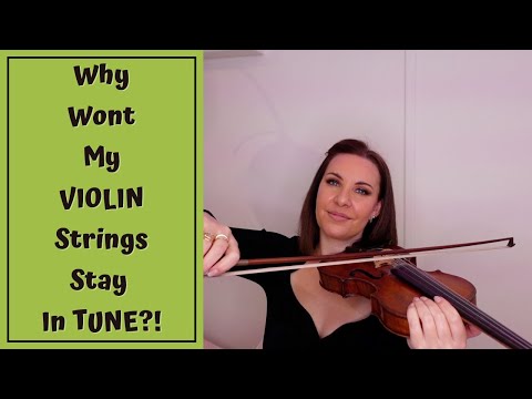 Video: Kāpēc vijolēm nav šķipsnu?