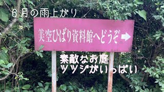 6月晴れた日　美空ひばり資料館②