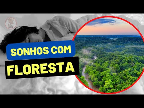 Vídeo: Por Que A Floresta Está Sonhando