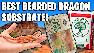 Bearded Dragon Substrate Content