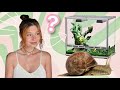 Je transforme le terrarium de mes 4 escargots  en version rose girly 