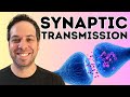 Synaptic transmission i the synapse i how neurons communicate