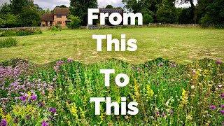 Wildflower Meadow Revisited  10 Years On  Part 1  Potato Field to Meadow