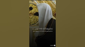 ﴿وَنُقَلِّبُ أفئِدَتهم وَأَبصارهم كما لم يؤمنوا به أَوَّلَ مَرَّة ..﴾ ~ تلاوة الشيخ عبدالله البعيجان