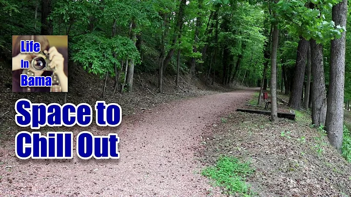 Walking in Jasper | Gamble Park | Life In Bama