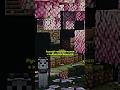 Рейвер Моды✅ #shorts #minecraft