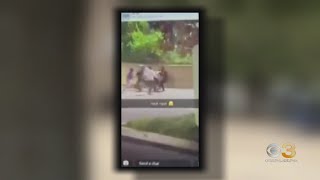 Police increasing patrols after groups of kids cause ruckus in Havertown