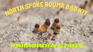 North Spore Boomr Bag Kit Part 2 Primordia & Pins
