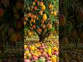 Quick and Easy Ways to Grow and Propagate Mango Trees #garden #diy #nature
