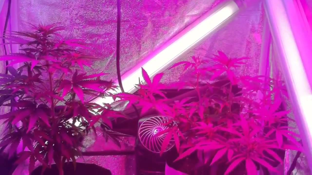 Led 90w UFO làm được gì nhỉ :D