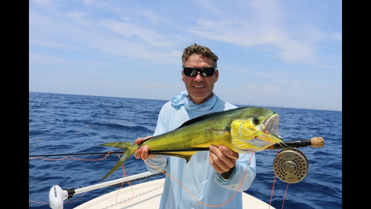 Mahi on Fly Miami Fly Fishing offshore Fly and Fish Tv YouTube
