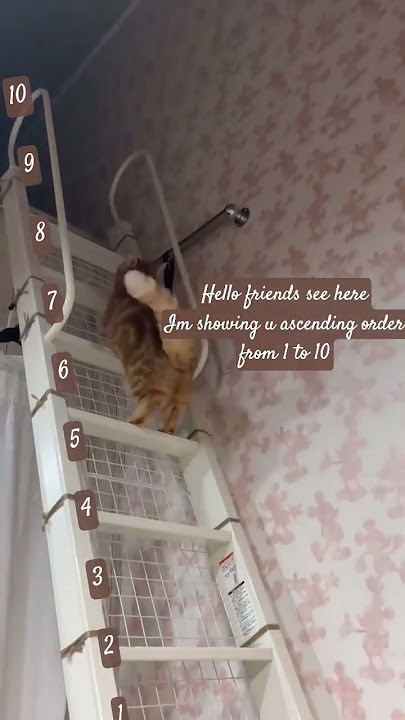 Ascending Order 1 to 10