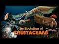 The evolution of crustaceans 