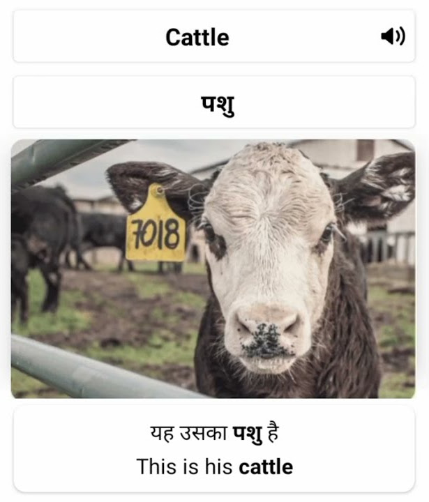cattle-meaning-in-hindi-word-meaning-pronunciation-sentence