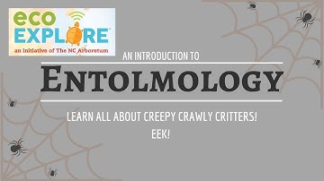 ecoEXPLORE October 2020 - entomology