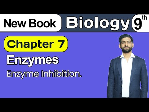 Enzymes Inhibition