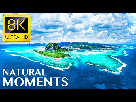 NATURAL MOMENTS 8K ULTRA HD