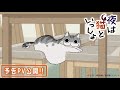 [最も欲しかった] 猫 キャ��クター アニメ 261616-アメ��カ アニメ キャラクター ��