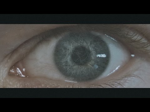 That Night Forests Grew - So Tell Me (OFFICIAL MUSIC VIDEO)