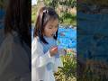 Happy child blows dandelion flowers #garden #cute