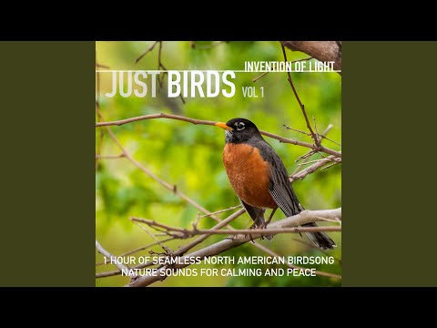 Happiness Is a Birdsong