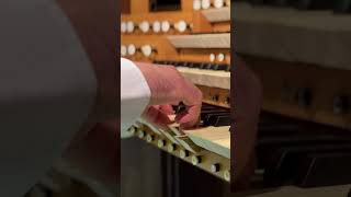 Grand or, cathédrale Notre-Dame de Verdun #orgue