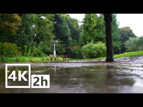 【4K/ASMR】睡眠導入　癒しの自然音　　公園の雨音　The sound of rain in the park　sleep/study/healing