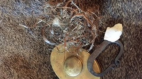 Quick Tip: Chosing Char