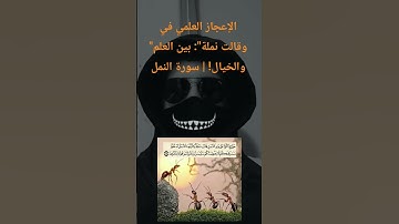 قصة سليمان والنمل: حقيقة علمية أم خرافة قديمة؟ | سورة النمل 18